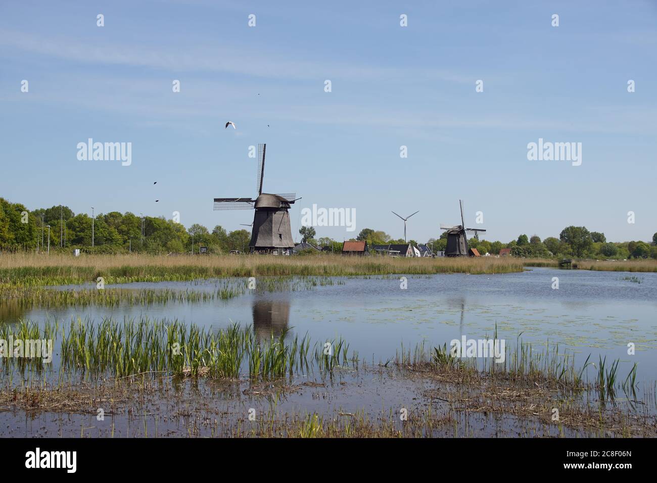 Small lake and thatched windmills (1625-1631), which pumped the water from the polders to the canal De Hoornse Vaart near the Dutch city of Alkmaar. Stock Photo