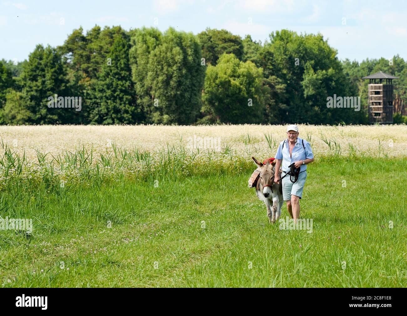 A esel hi-res stock photography and images - Page 3 - Alamy