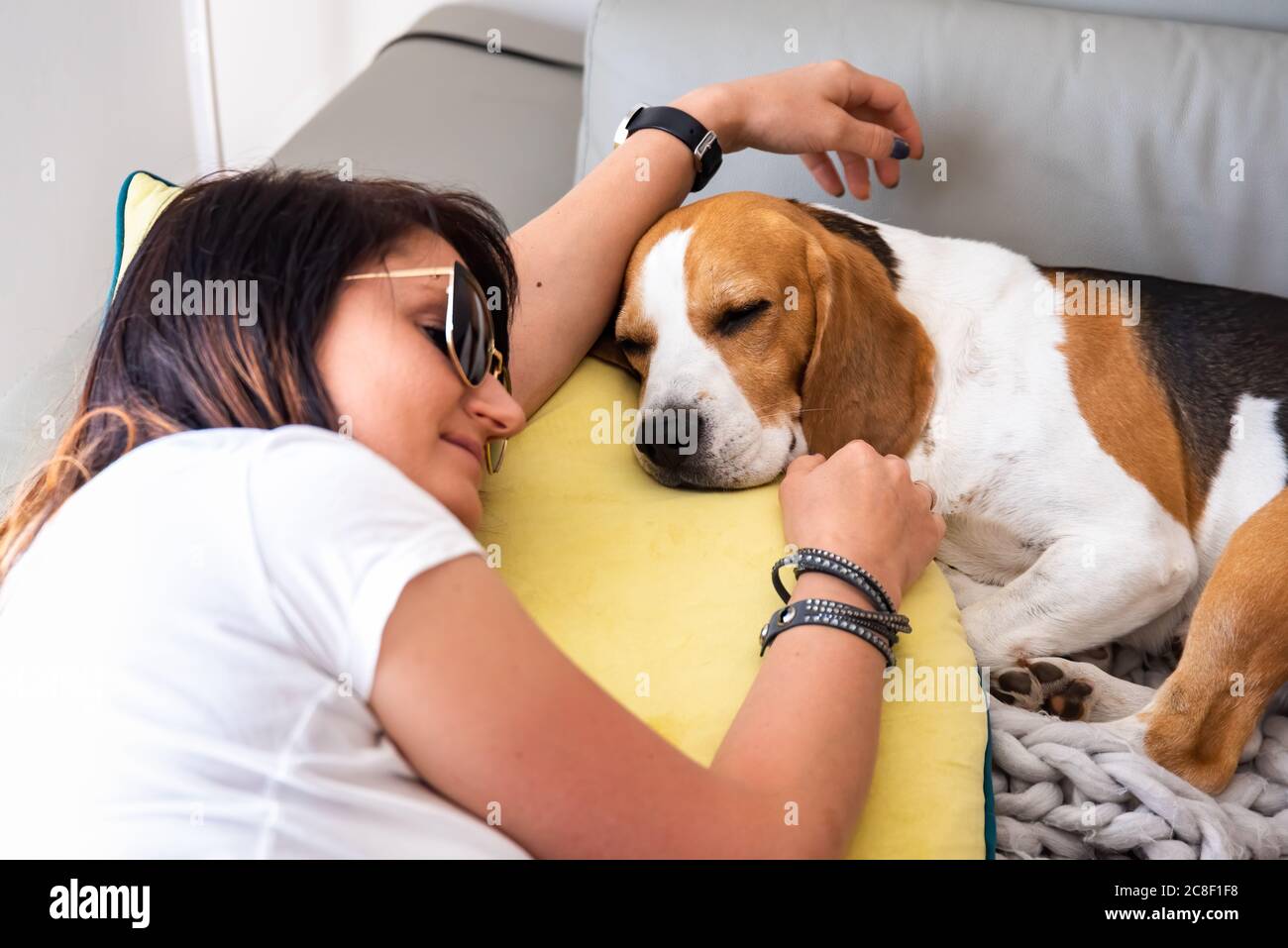 Beagle dog sleeping next to womanon sofa Stock Photo Alamy