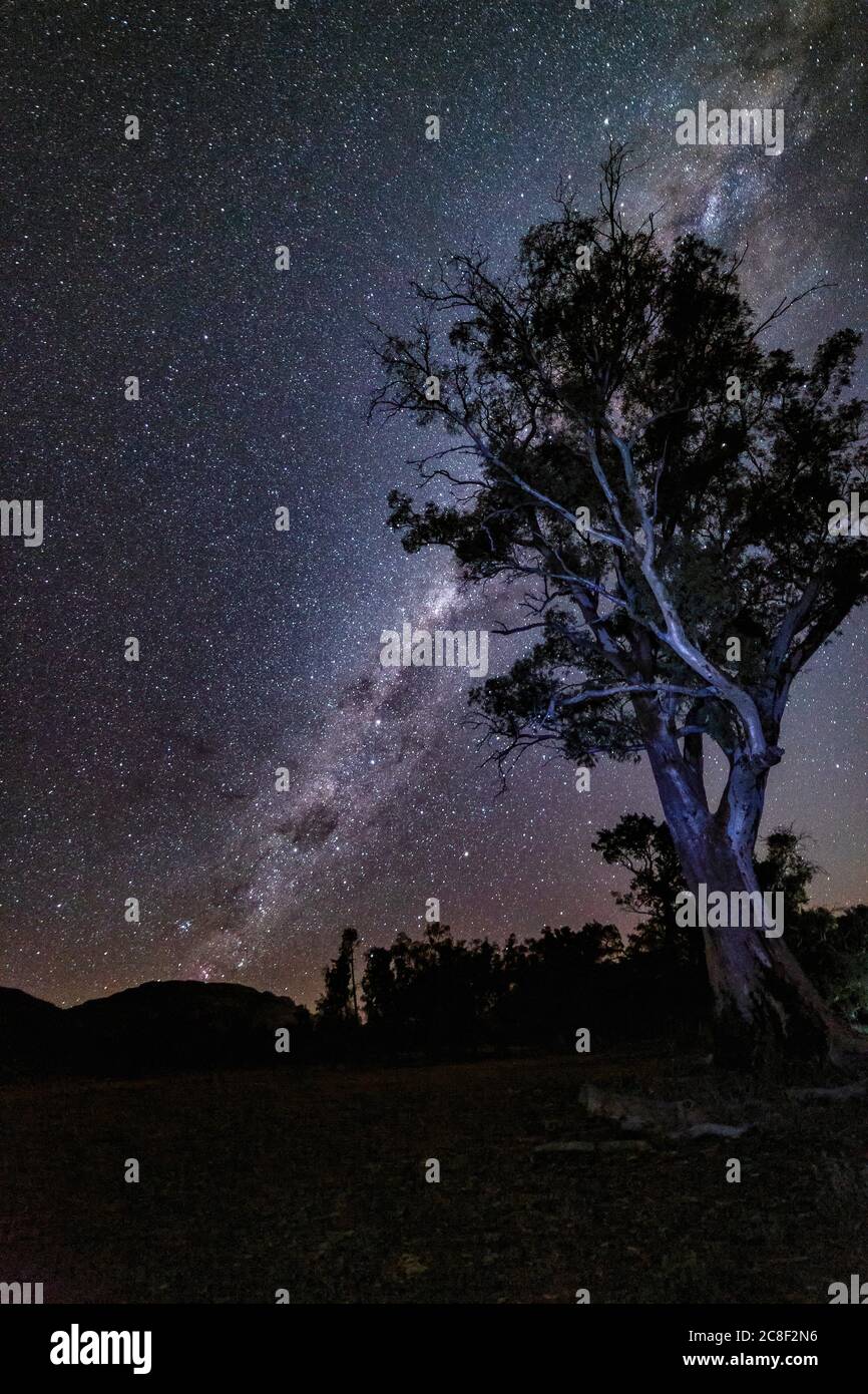 Milky Way from the Flinders Ranges National Park, Australia Stock Photo