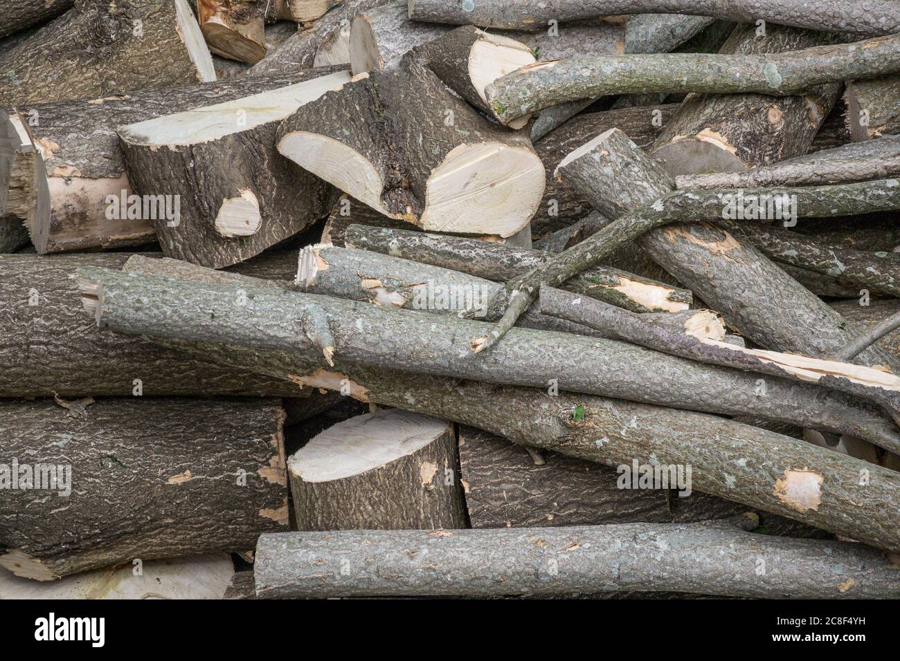 Flammable bark hires stock photography and images Alamy