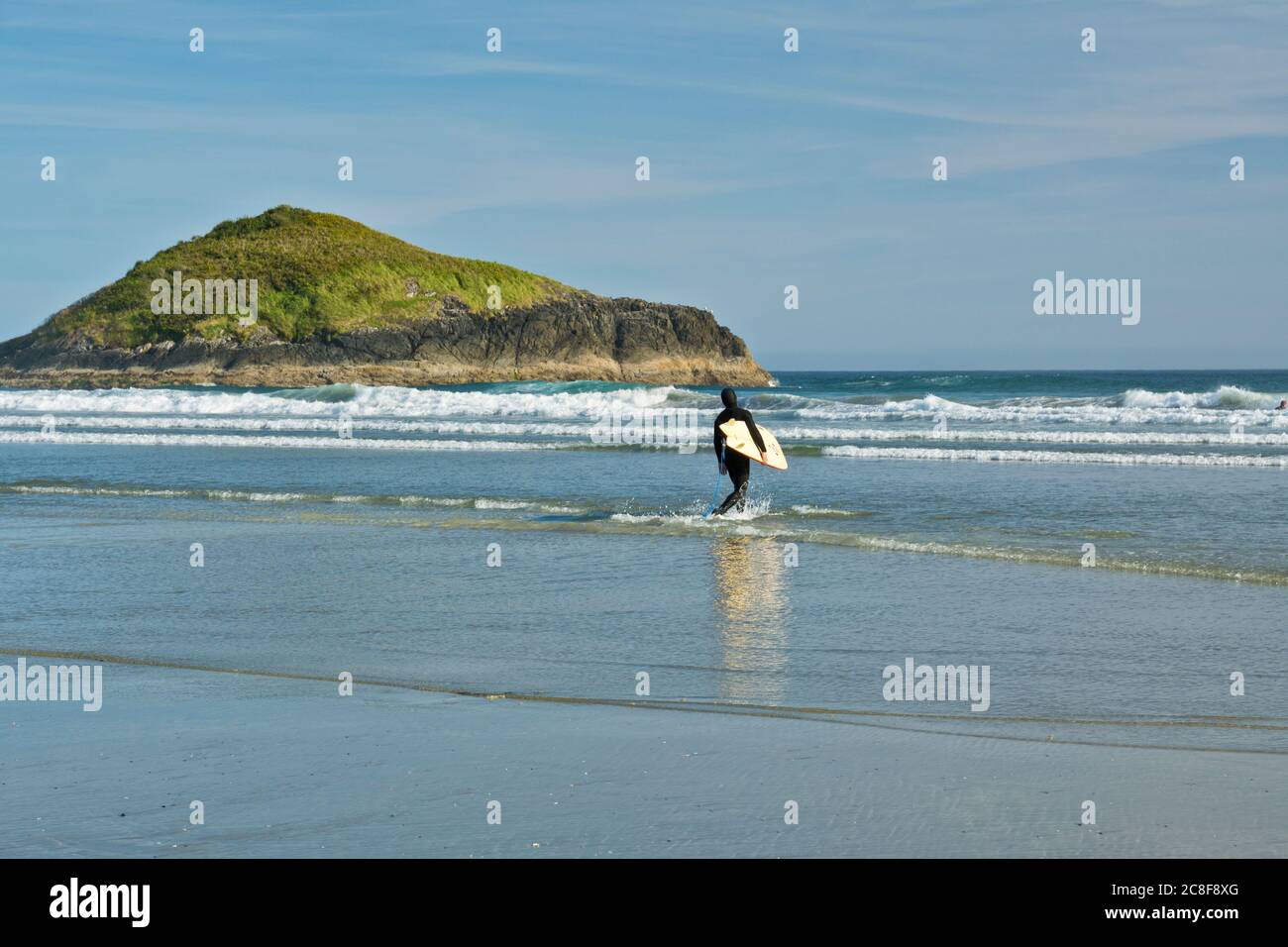 Man with surfboard heads out to ocean by Lovekin Rock at Long Beach, British Columbia, Canada.  In Pacific Rim National Park Reserve. Stock Photo