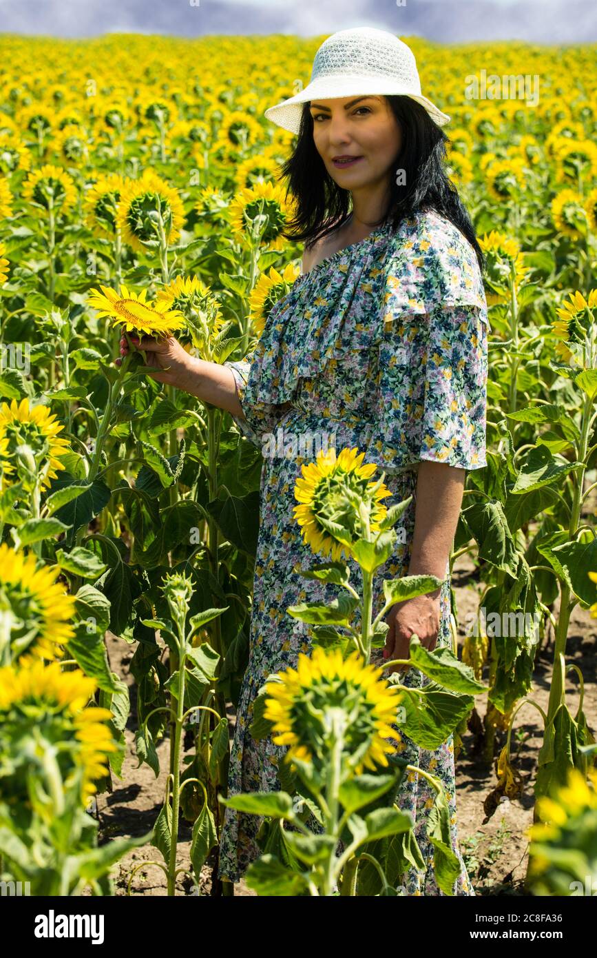 Beautiful brunette woman with hat posing in sunflowers field Stock ...