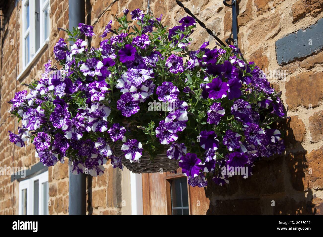 White and Purple Flower Basket White and Purple Flower Basket