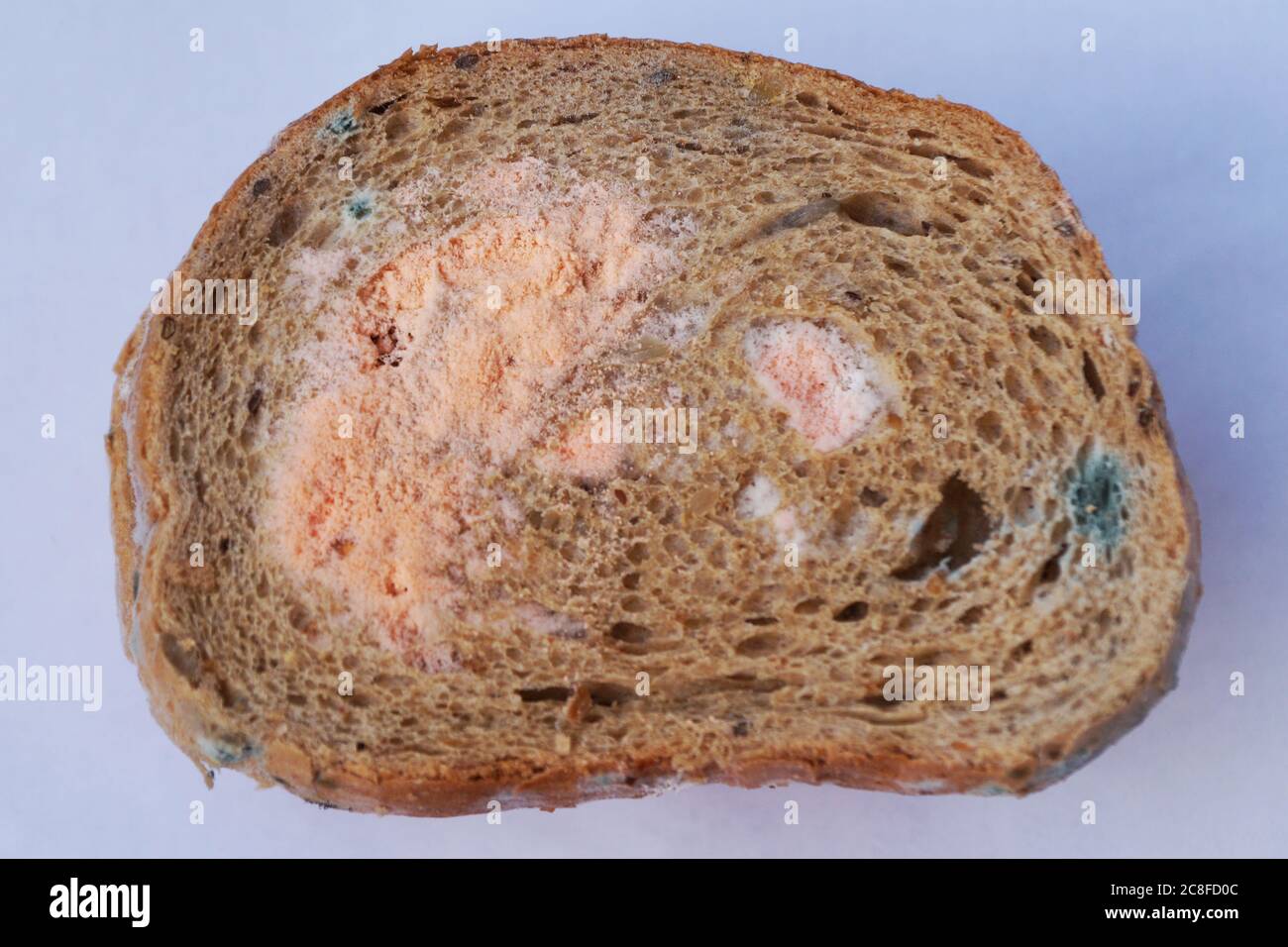 A piece of white bread with mould hires stock photography and images