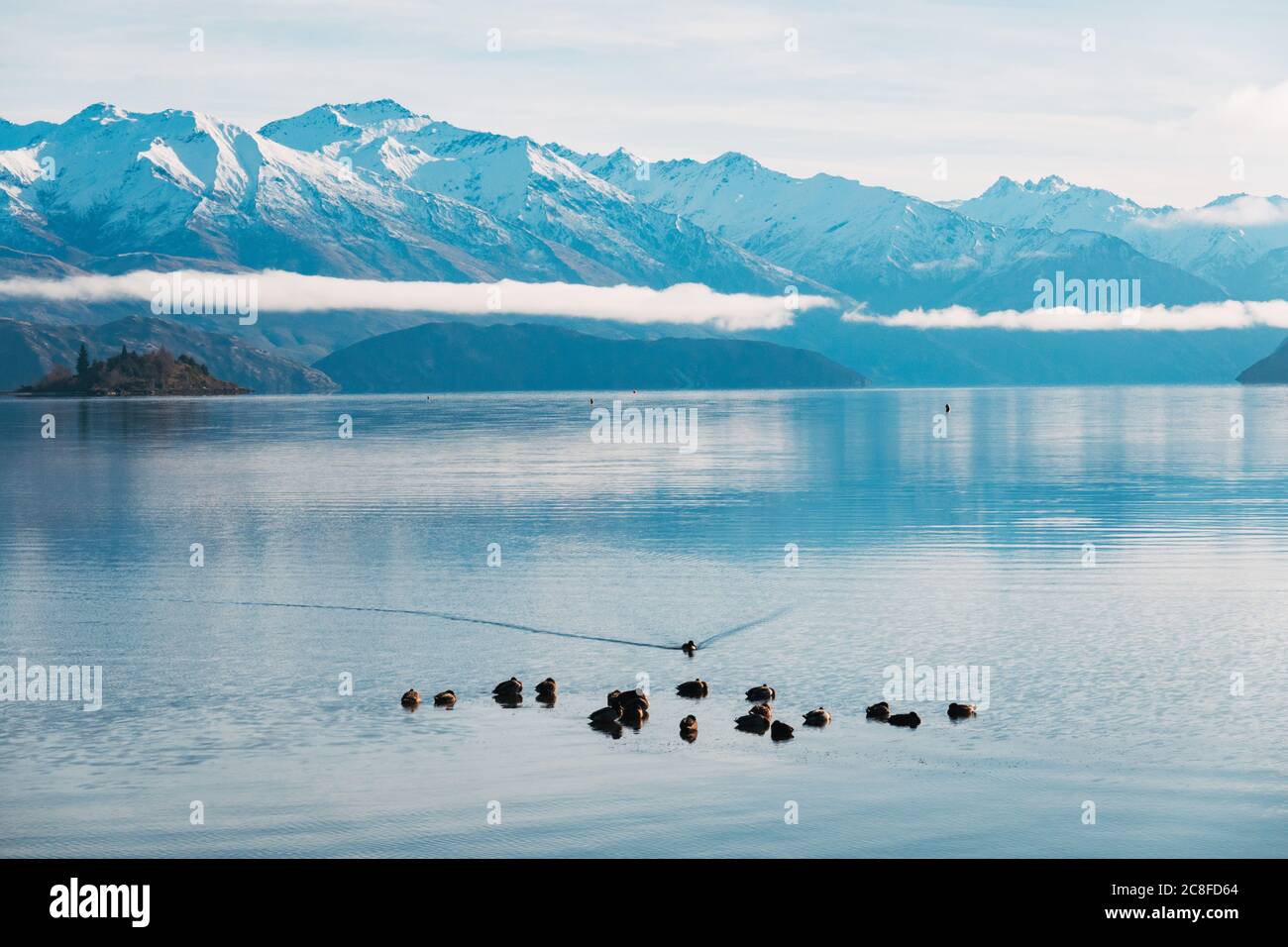 Ducks on a perfectly still, glassy Lake Wanaka one winter's morning, New Zealand Stock Photo