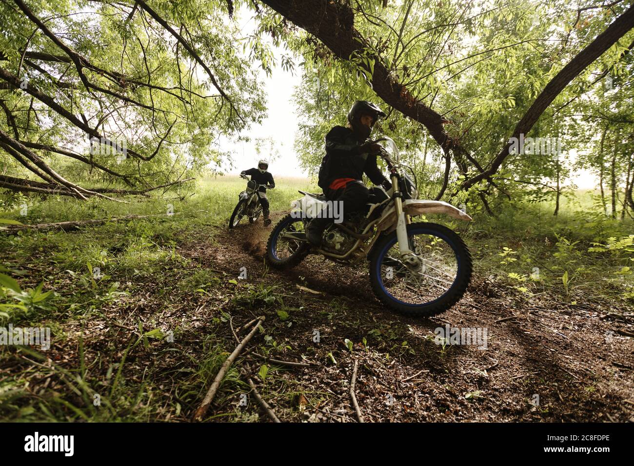 Spring Over Tree Motorcycle Low tree branches hi-res stock photography and images - Alamy