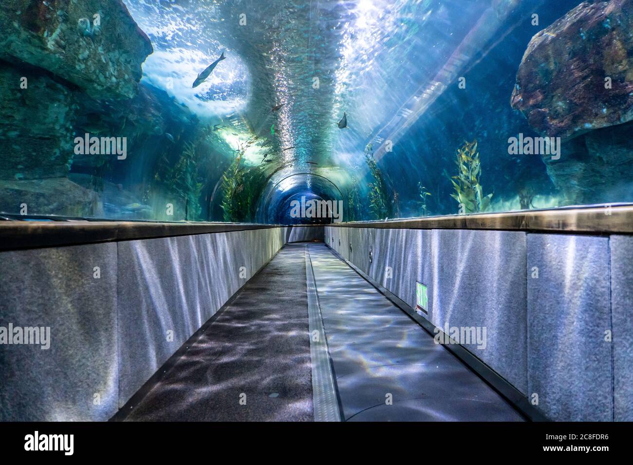 Empty aquarium tunnel in San Francisco. Stock Photo