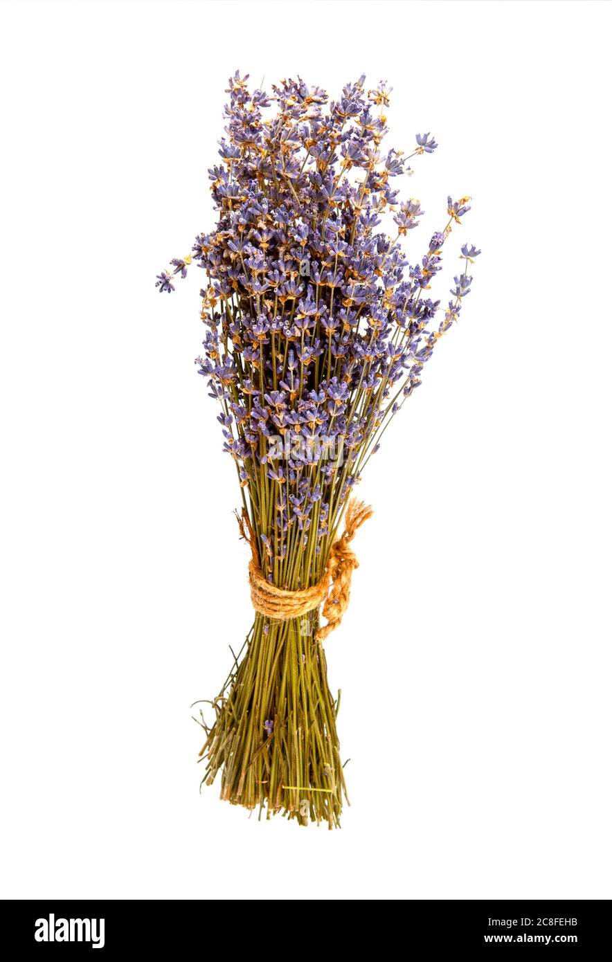 dry lavender flower Stock Photo Alamy