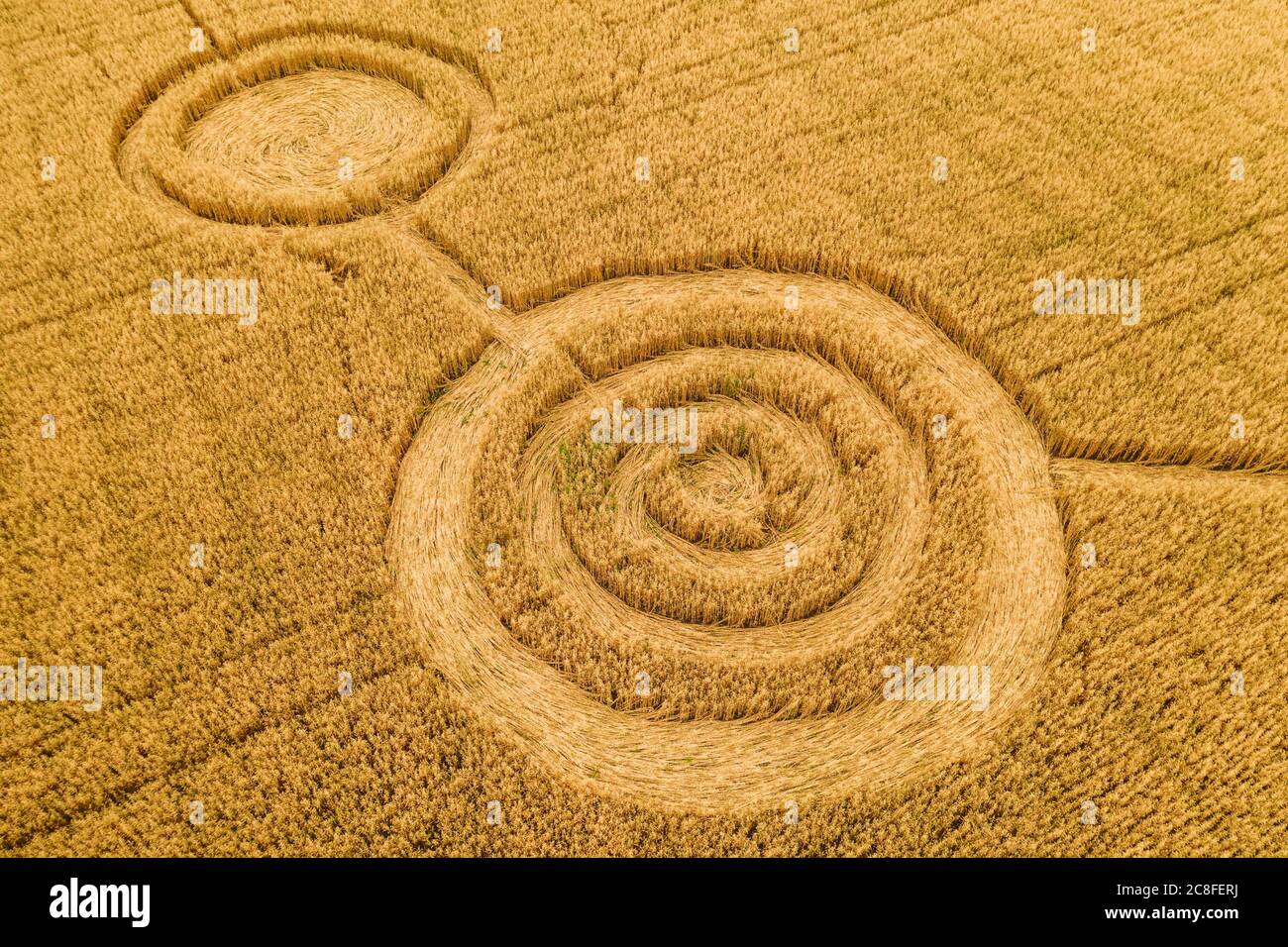 Fake UFO circles on grain crop yellow field, aerial view from drone. Stock Photo