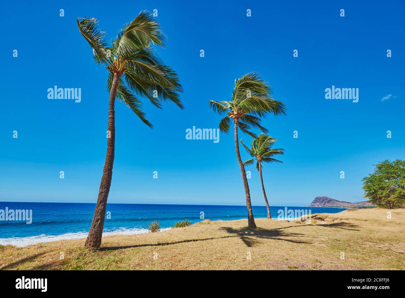 Kapolei water park hawaii hires stock photography and images Alamy