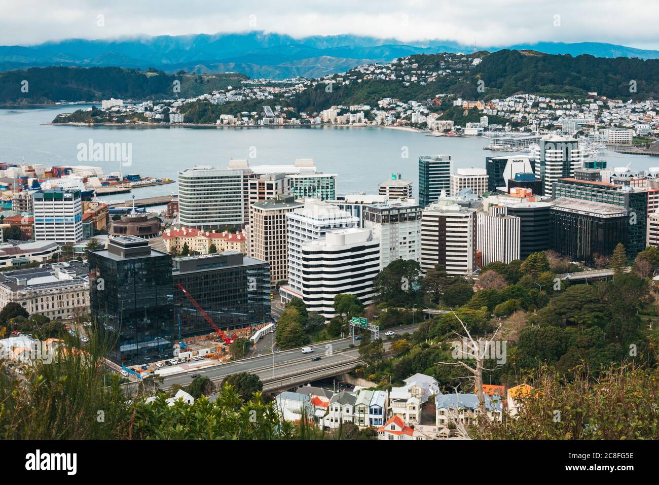 Downtown Wellington as seen from the Northern Walk in the Te ...