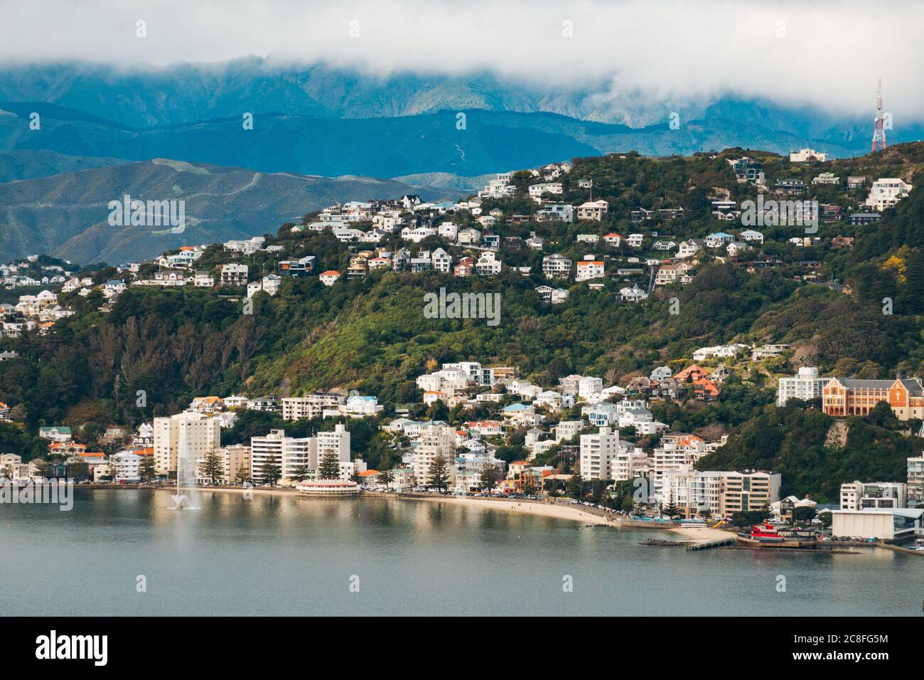 Oriental Bay, seen from Te Ahumairangi Hill on a calm day in Wellington, New Zealand Stock Photo