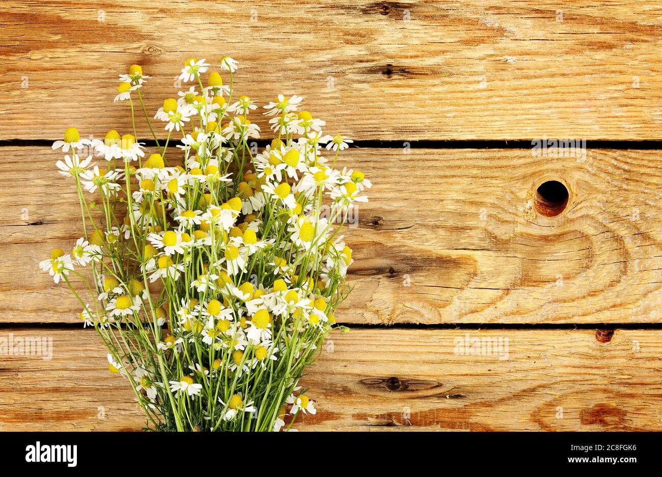 Bunch of chamomile hi-res stock photography and images - Alamy