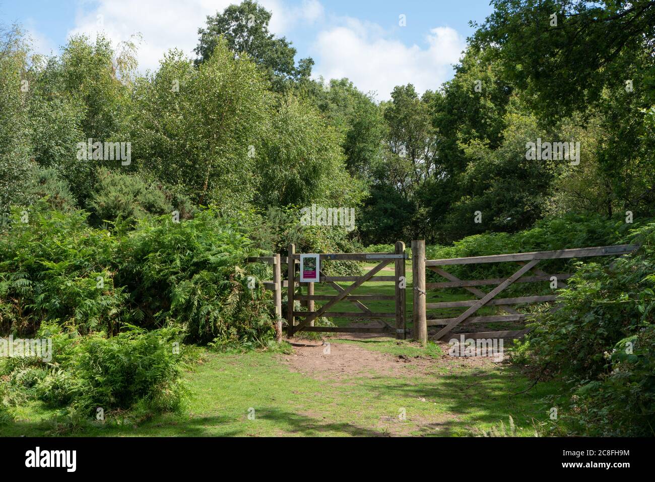 Footpath and gate. Kinver Edge, Staffordshire. UK Stock Photo