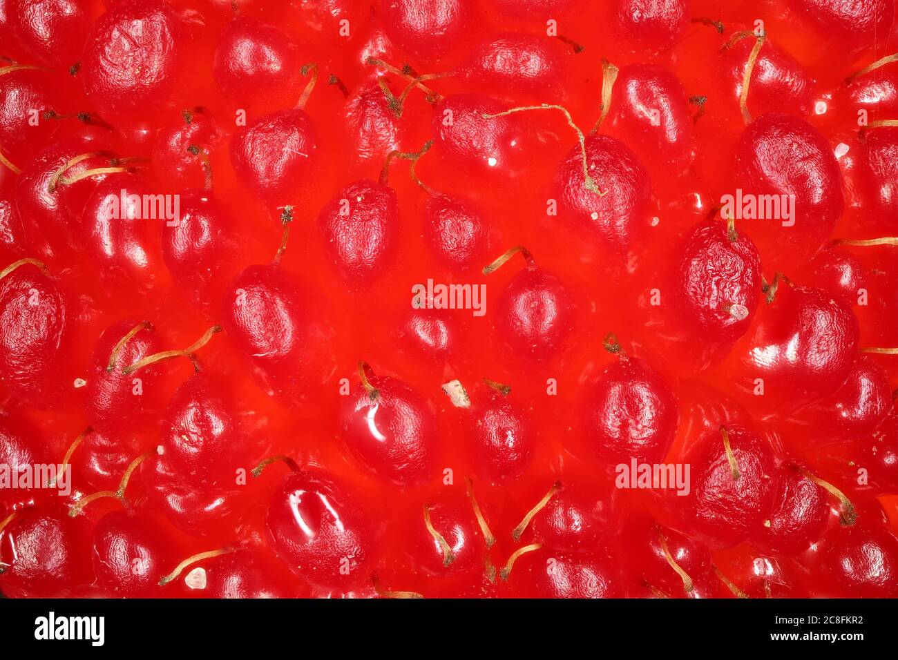 Strawberry Raspberry (Rubus illecebrosus). Fruit Detail Closeup Stock Photo