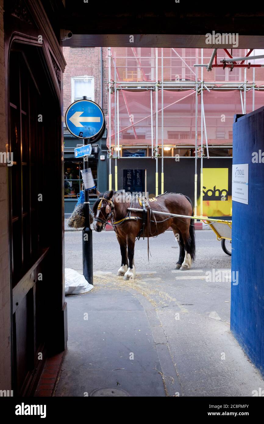 Horses and trap outside the, Pillars of Hercules Pub, 7 Greek Street