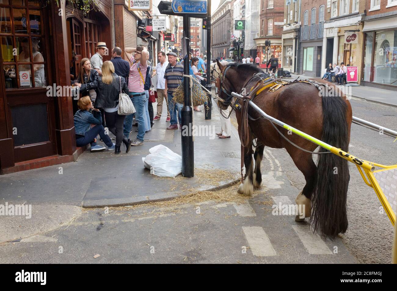 Horses and trap outside the, Pillars of Hercules Pub, 7 Greek Street