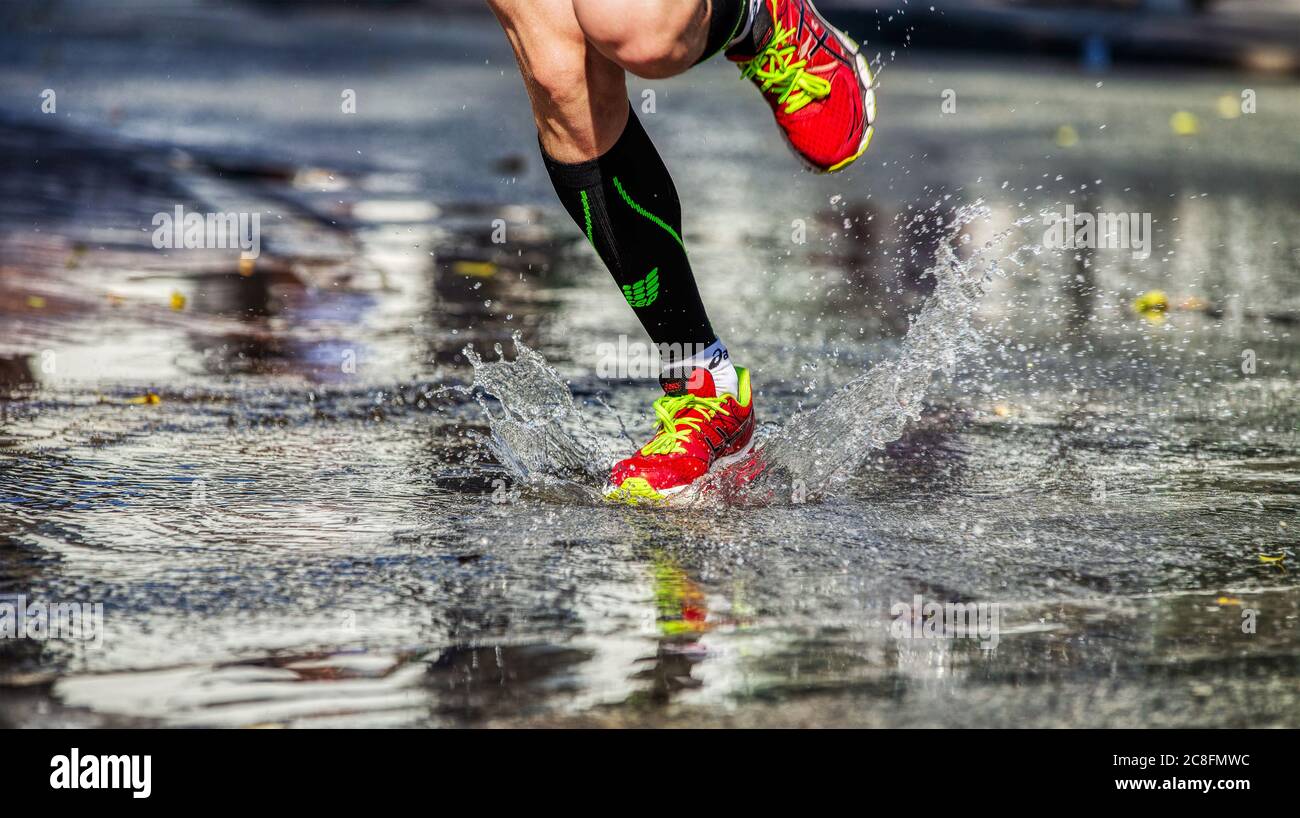 Artículos de primera necesidad web Secretar Ekaterinburg, Russia - August 7, 2016: legs man runner in running shoes  ASICS and compression socks CEP in Europe-Asia Marathon Stock Photo - Alamy