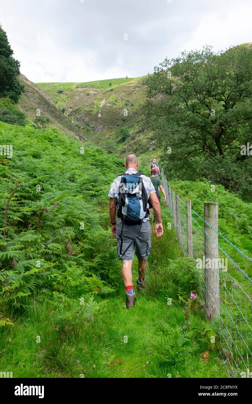 Man walking with family after Covid 19 pandemic lockdown is eased in the hills of Cwm Rheaedr near CilyCwm Carmarthenshire Wales UK  KATHY DEWITT Stock Photo