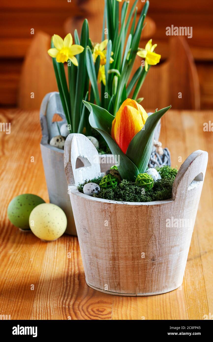 Beautiful spring flowers on wooden table. Traditional Easter decoration. Spring time Stock Photo