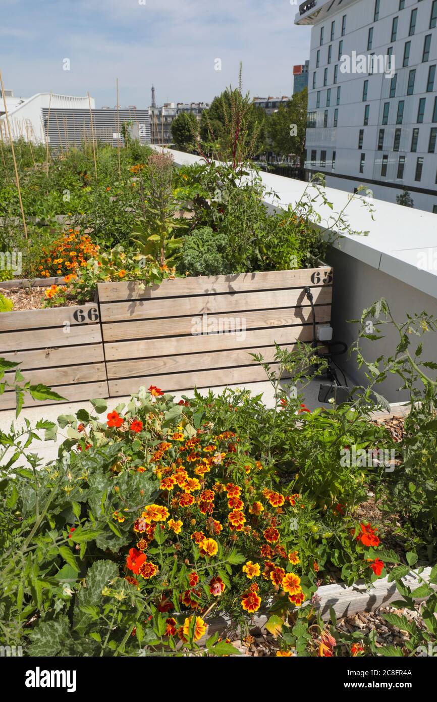 THE WORLD'S LARGEST URBAN FARM IS COMING TO A PARIS ROOFTOP Stock Photo