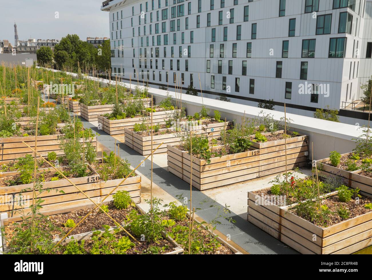 THE WORLD'S LARGEST URBAN FARM IS COMING TO A PARIS ROOFTOP Stock Photo