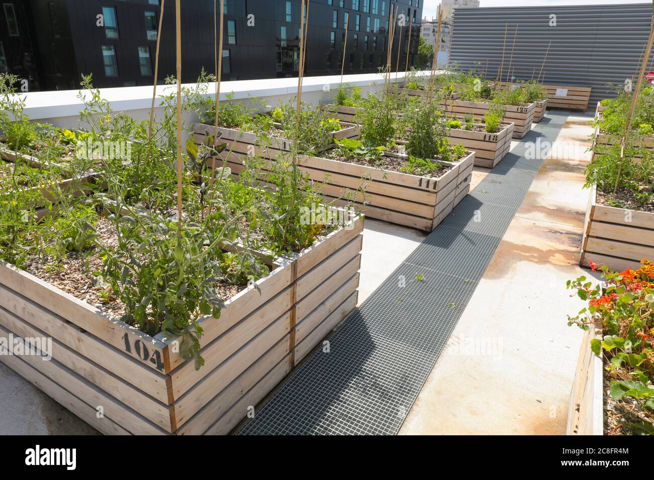 THE WORLD'S LARGEST URBAN FARM IS COMING TO A PARIS ROOFTOP Stock Photo