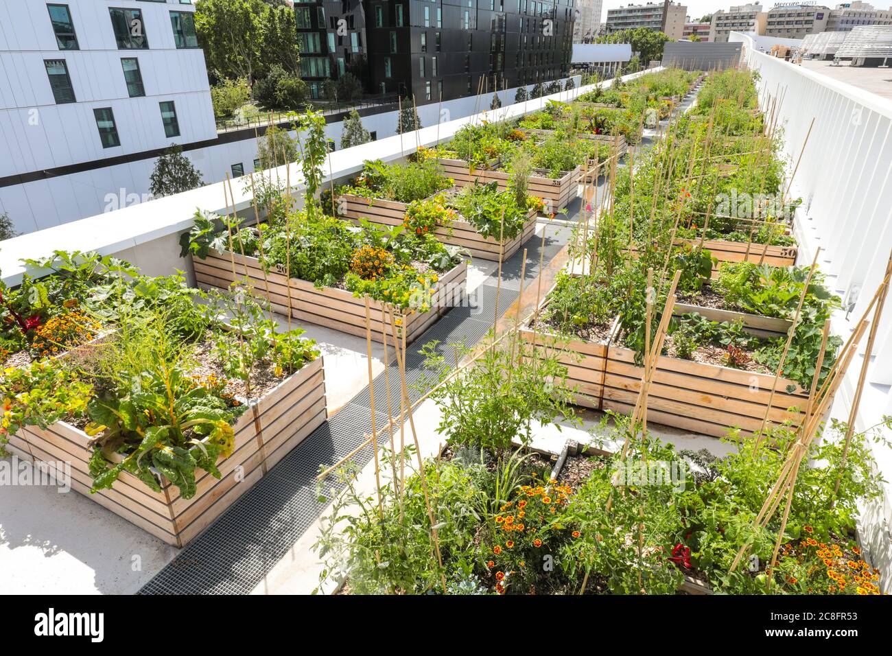 THE WORLD'S LARGEST URBAN FARM IS COMING TO A PARIS ROOFTOP Stock Photo