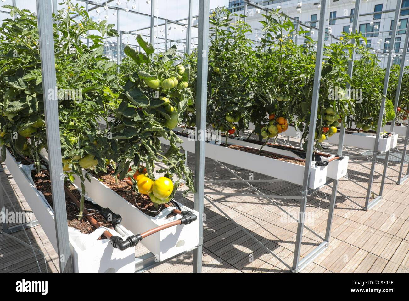 THE WORLD'S LARGEST URBAN FARM IS COMING TO A PARIS ROOFTOP Stock Photo
