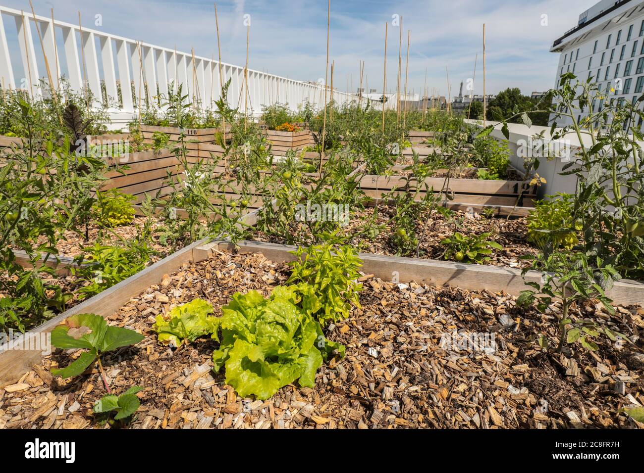 THE WORLD'S LARGEST URBAN FARM IS COMING TO A PARIS ROOFTOP Stock Photo