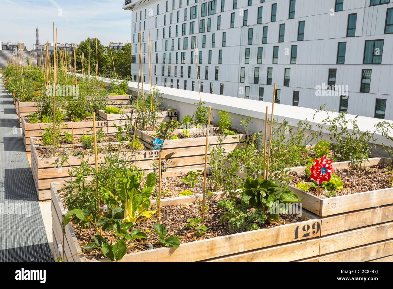 THE WORLD'S LARGEST URBAN FARM IS COMING TO A PARIS ROOFTOP Stock Photo