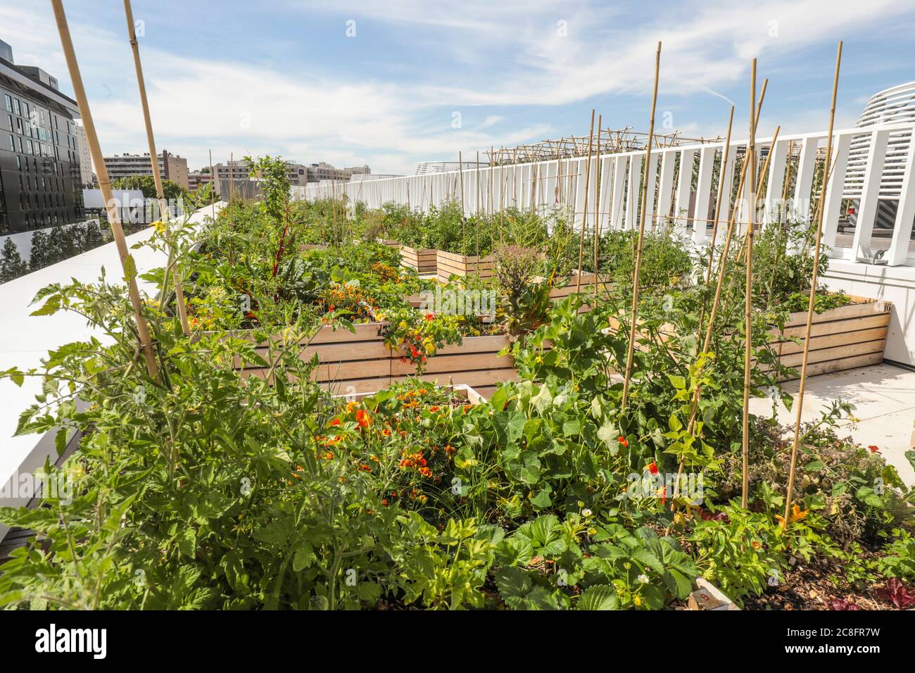 THE WORLD'S LARGEST URBAN FARM IS COMING TO A PARIS ROOFTOP Stock Photo