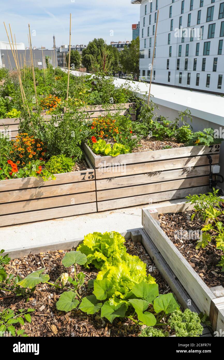 THE WORLD'S LARGEST URBAN FARM IS COMING TO A PARIS ROOFTOP Stock Photo