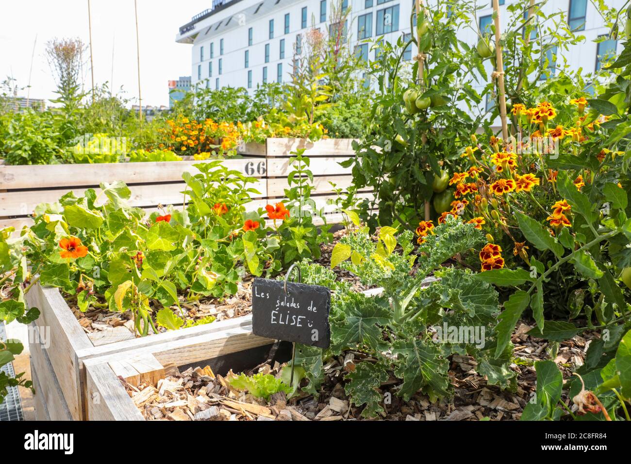 THE WORLD'S LARGEST URBAN FARM IS COMING TO A PARIS ROOFTOP Stock Photo ...