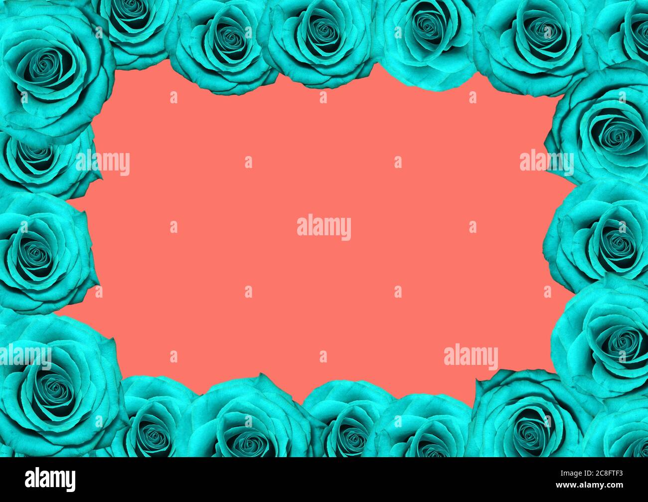 Blue roses square frame on coral background. Modern floral frame. Top ...