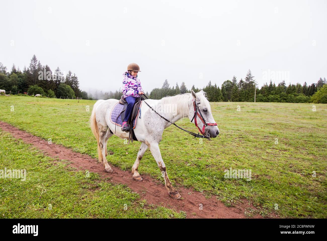 Horseback riding lesson- little girl ride a horse at ranch , country landscape, daylight Stock Photo
