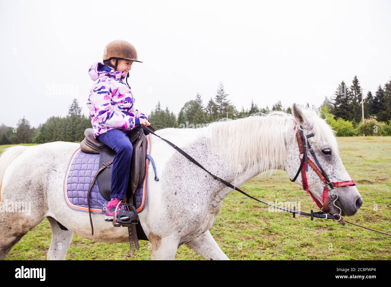 Horseback riding lesson- little girl ride a horse at ranch , country landscape, daylight Stock Photo