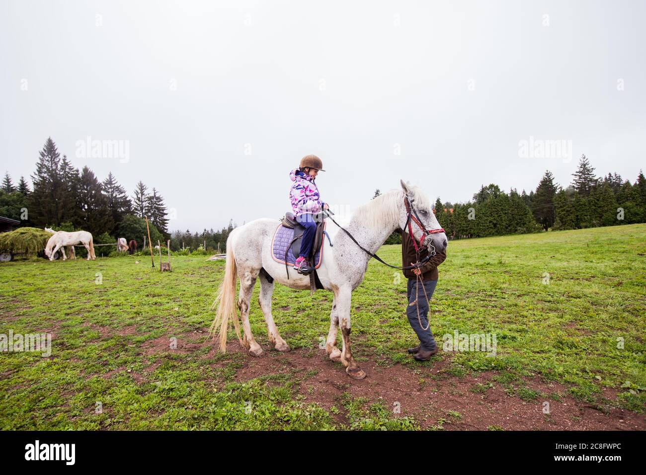 Horseback riding lesson- little girl ride a horse at ranch , country landscape, daylight Stock Photo