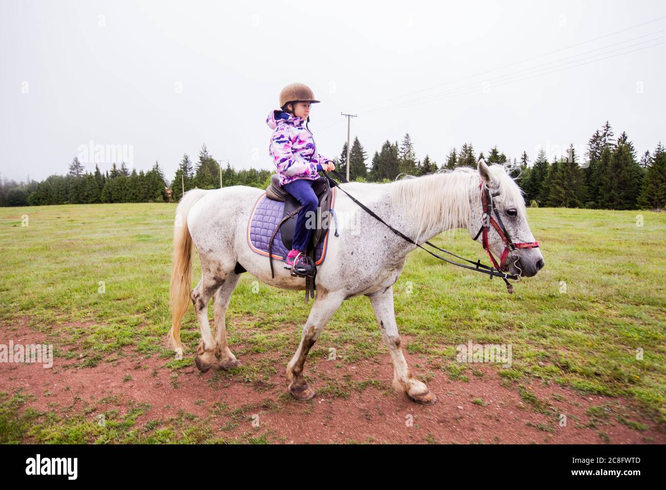 Horseback riding lesson- little girl ride a horse at ranch , country landscape, daylight Stock Photo