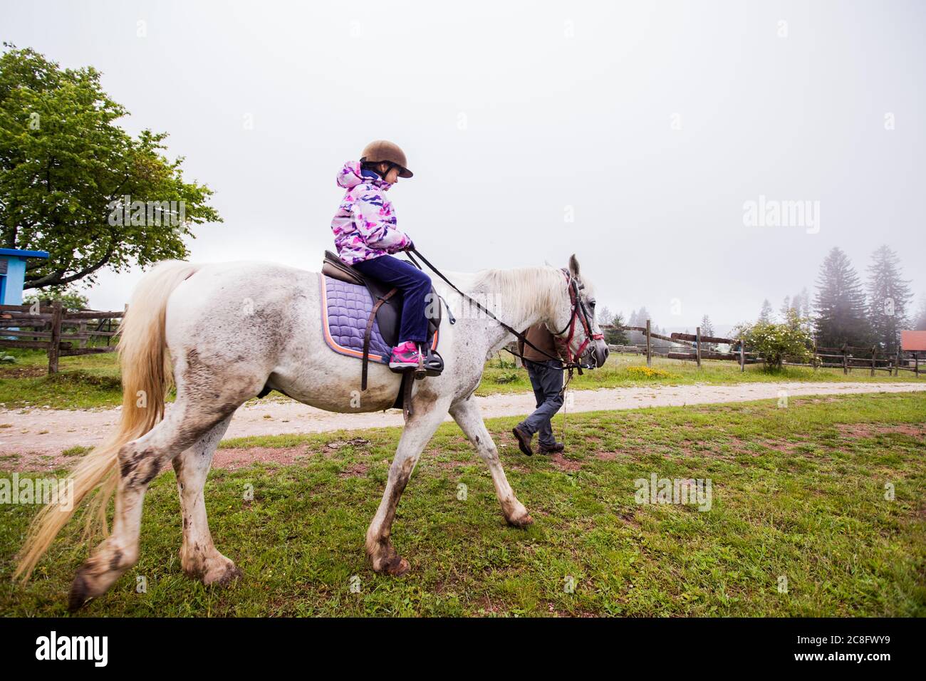 Horseback riding lesson- little girl ride a horse at ranch , country landscape, daylight Stock Photo