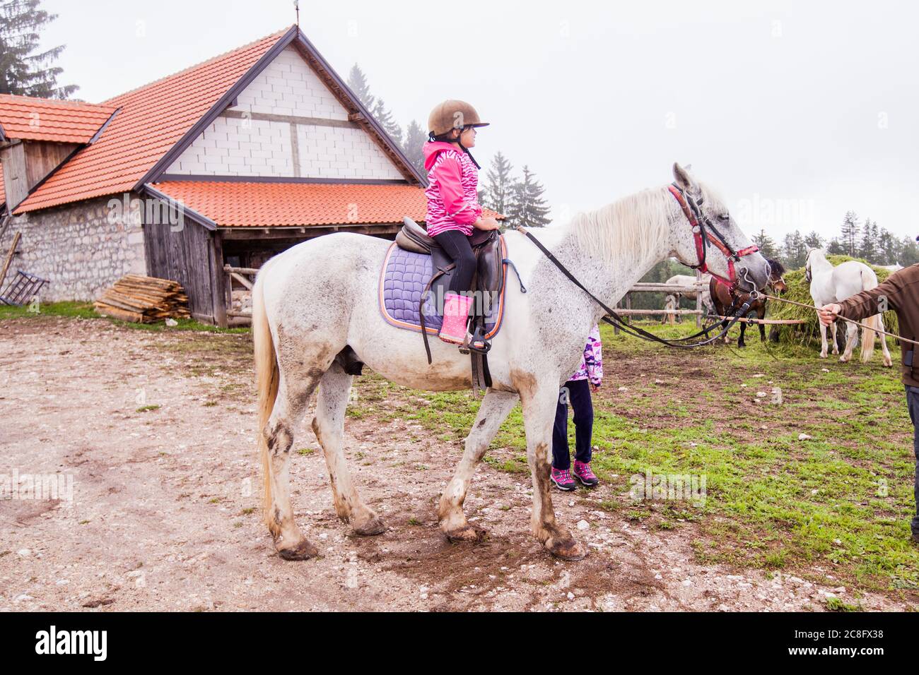 Horseback riding lesson- little girl ride a horse at ranch , country landscape, daylight Stock Photo