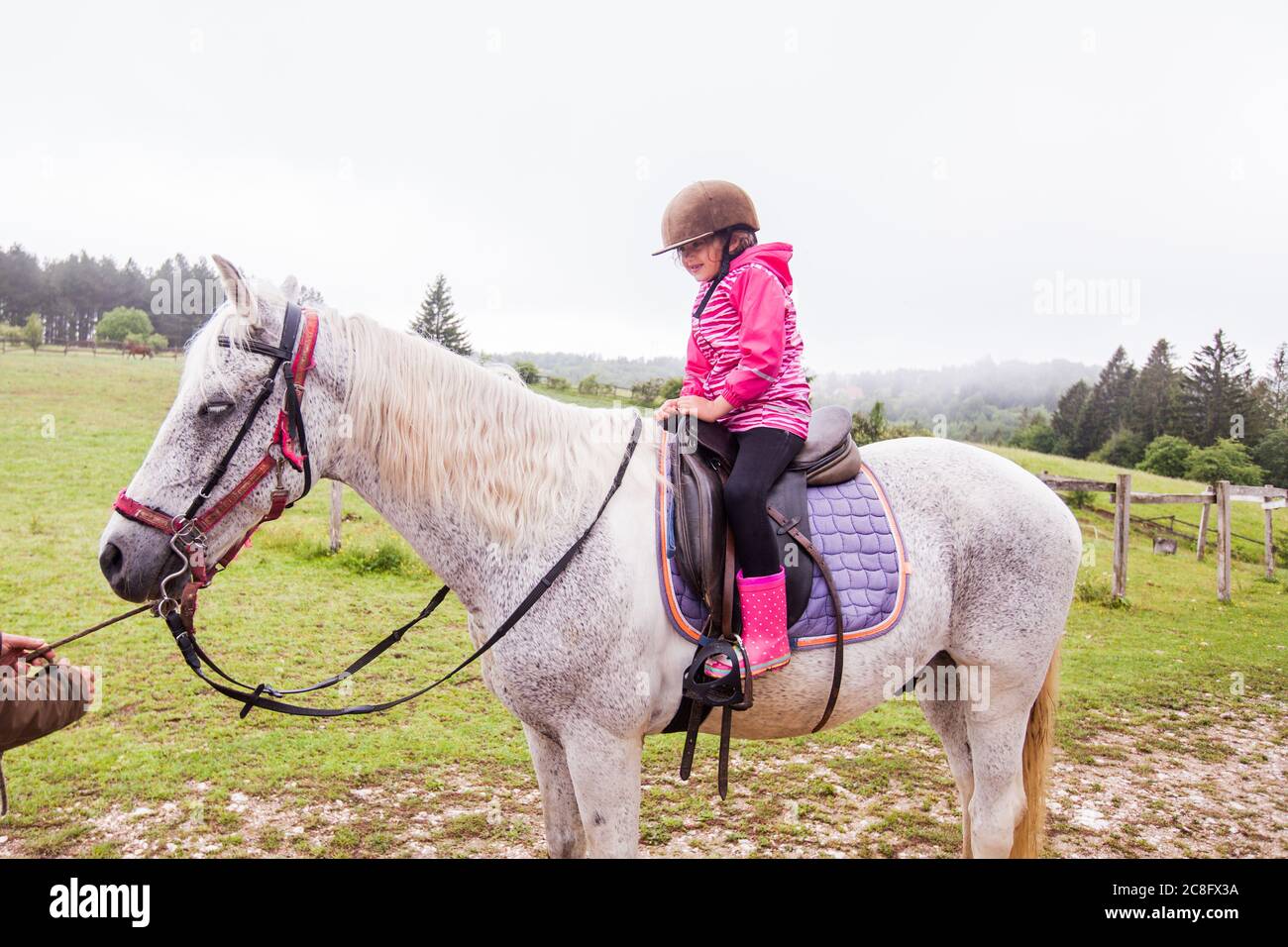 Horseback riding lesson- little girl ride a horse at ranch , country landscape, daylight Stock Photo