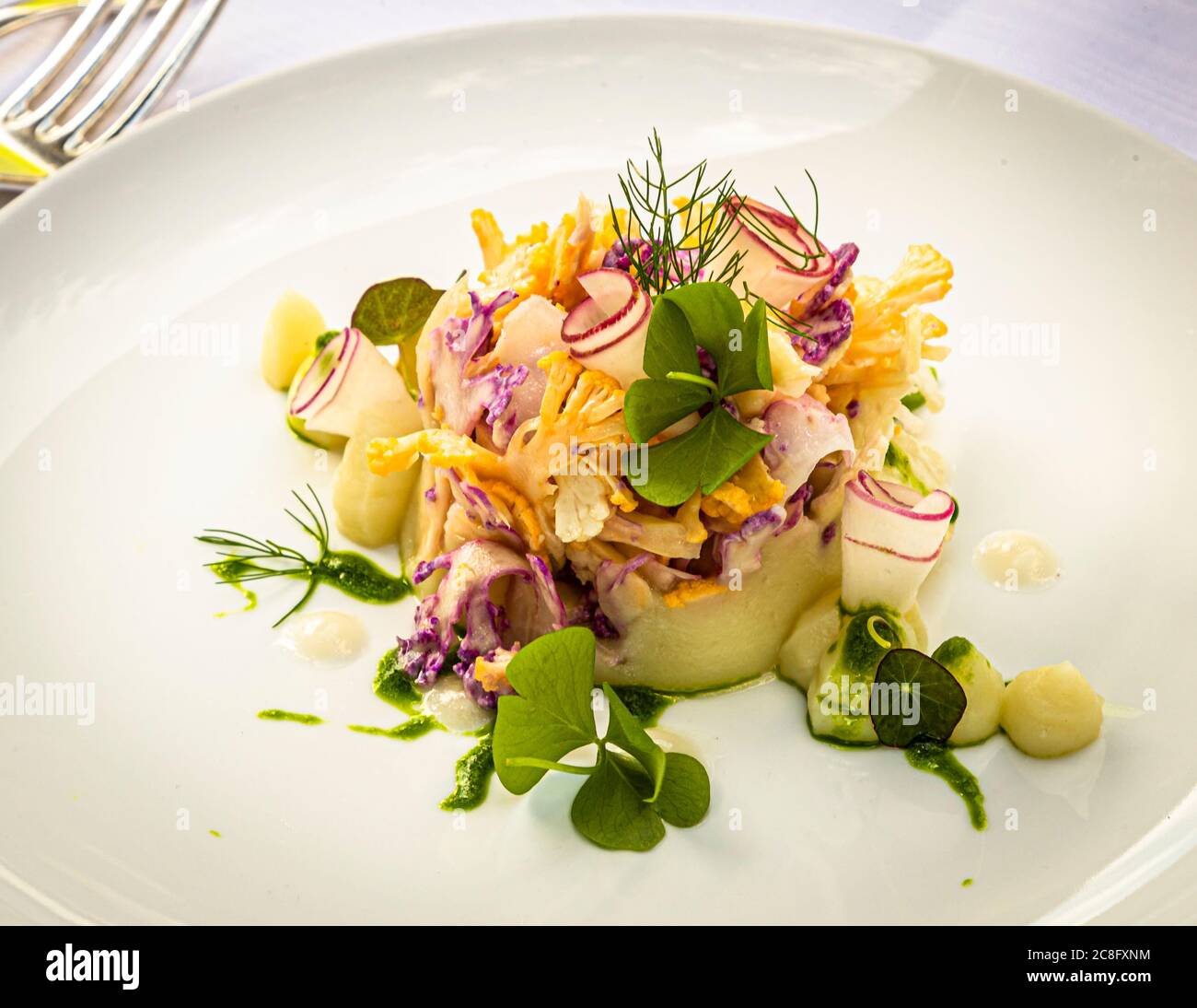 Gourmet Dish by Hotel Krone Chef de cuisine Peter Prüfer in Weil am Rhein, Germany. The colorful cauliflower is accompanied by navette, a type of radish, and versus vinaigrette and frisée Stock Photo
