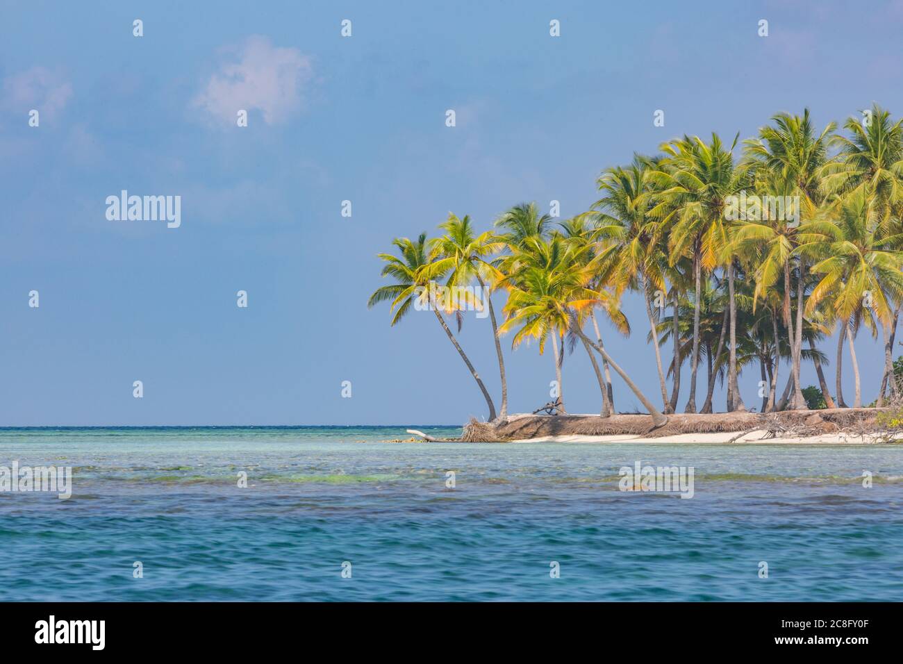 Exotic beach on a tropical island among palm trees, lagoon sea with coral reef. Amazing beach landscape, copy space, paradise destination Stock Photo