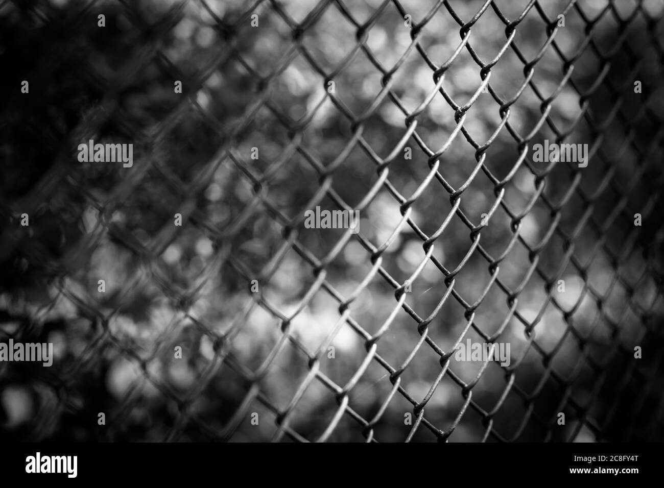 Chicken wire fence with short depth of field. Fence with metal grid in perspective Stock Photo