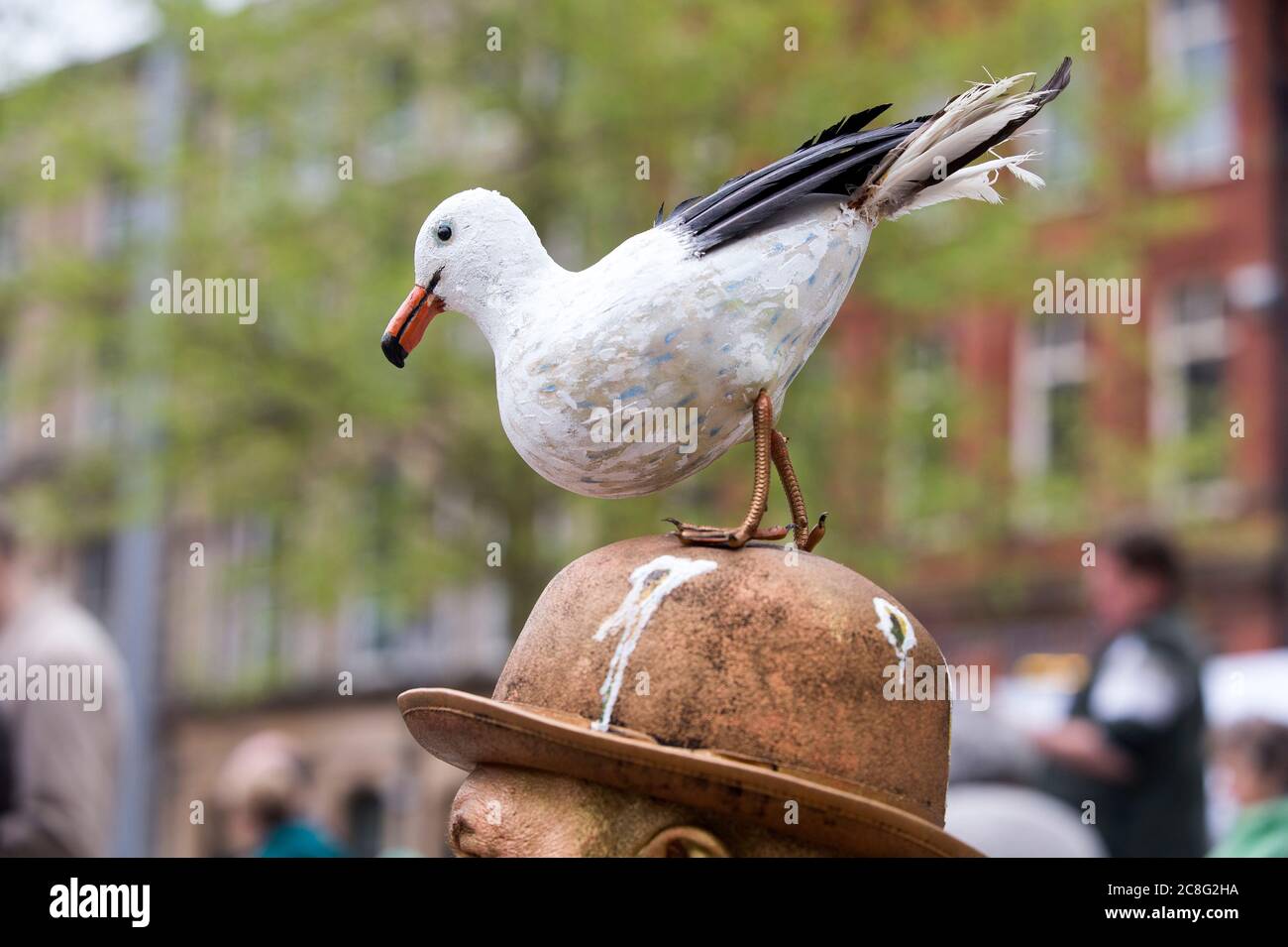 A fake seagul on a gold head and hat. Stock Photo