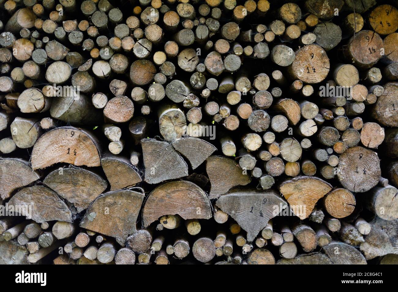 Logging - pile with cutted trunks and branches of tree. Raw wooden material is storaged on mound Stock Photo