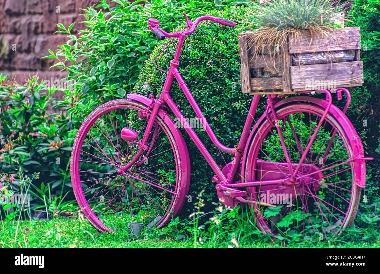 green and purple bike
