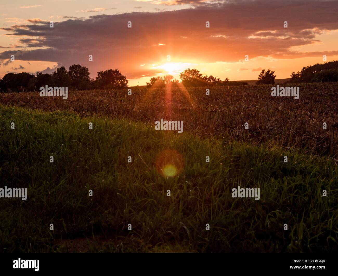 Sonnenuntergang Sonnenaufgang auf einem Getreidefeld auf der Insel Rügen mit einer Farm, Bäumen, Strohballen, roten Mohnblumen nach einem Gewitter Stock Photo